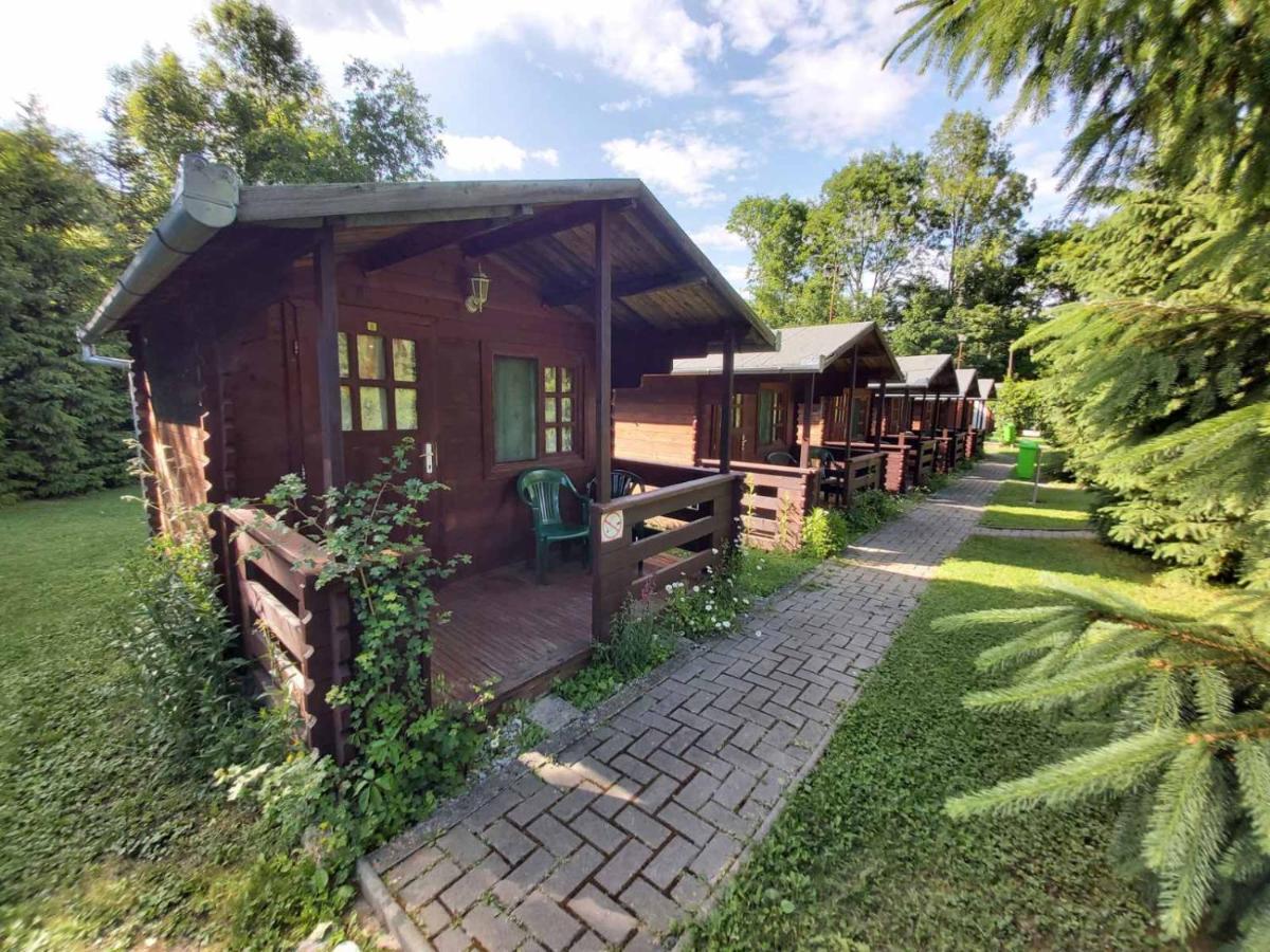 Bungalow Camping Edelweiss - Floare de colt - Gyopár Rimetea Exterior foto